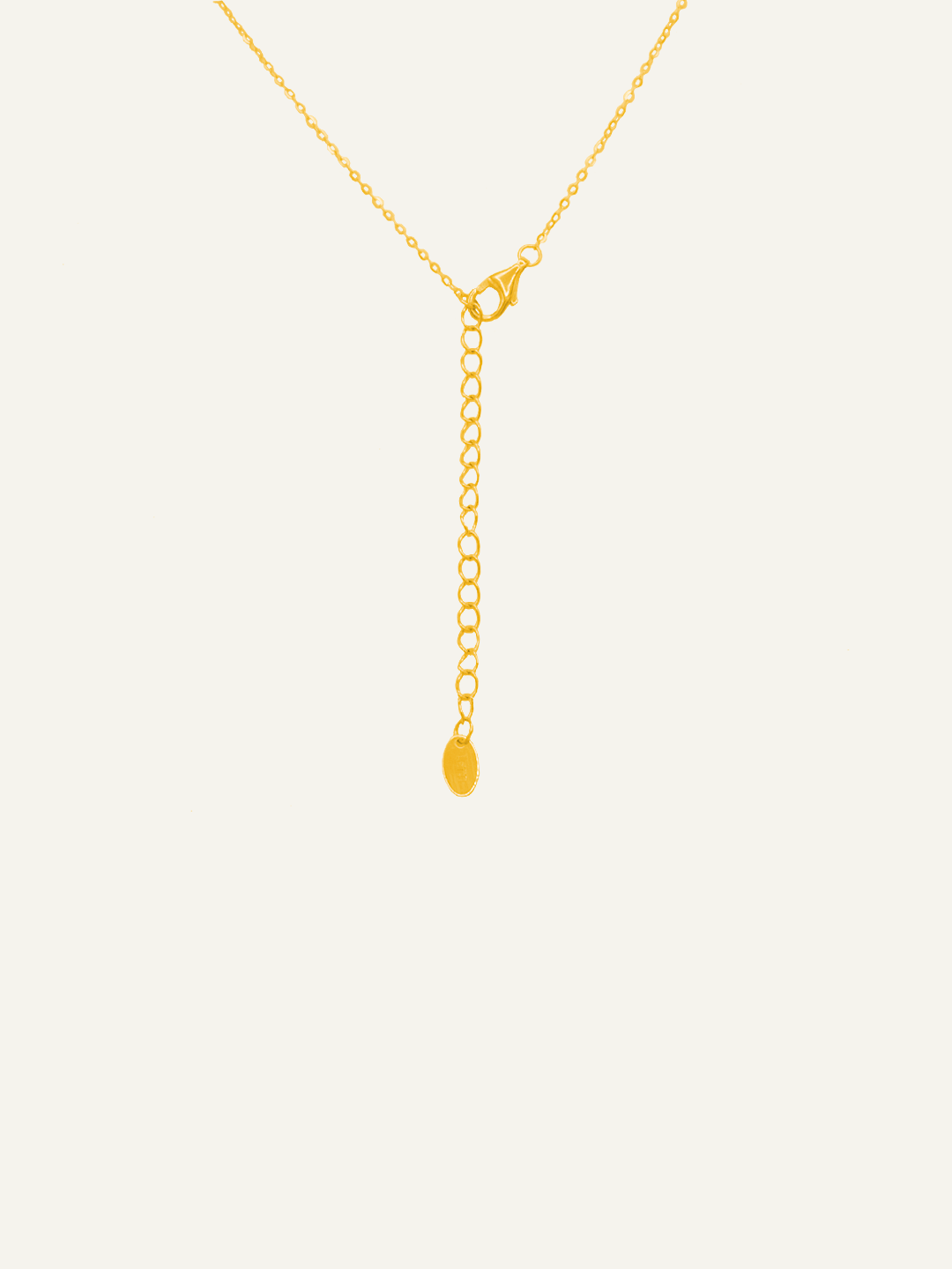 Dani Pearl Station Necklace