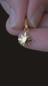 #Material_Gold, Silver